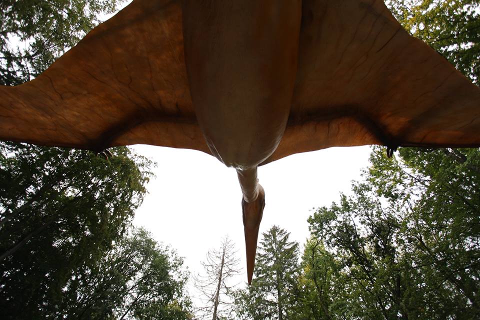 what is the largest flying dinosaur