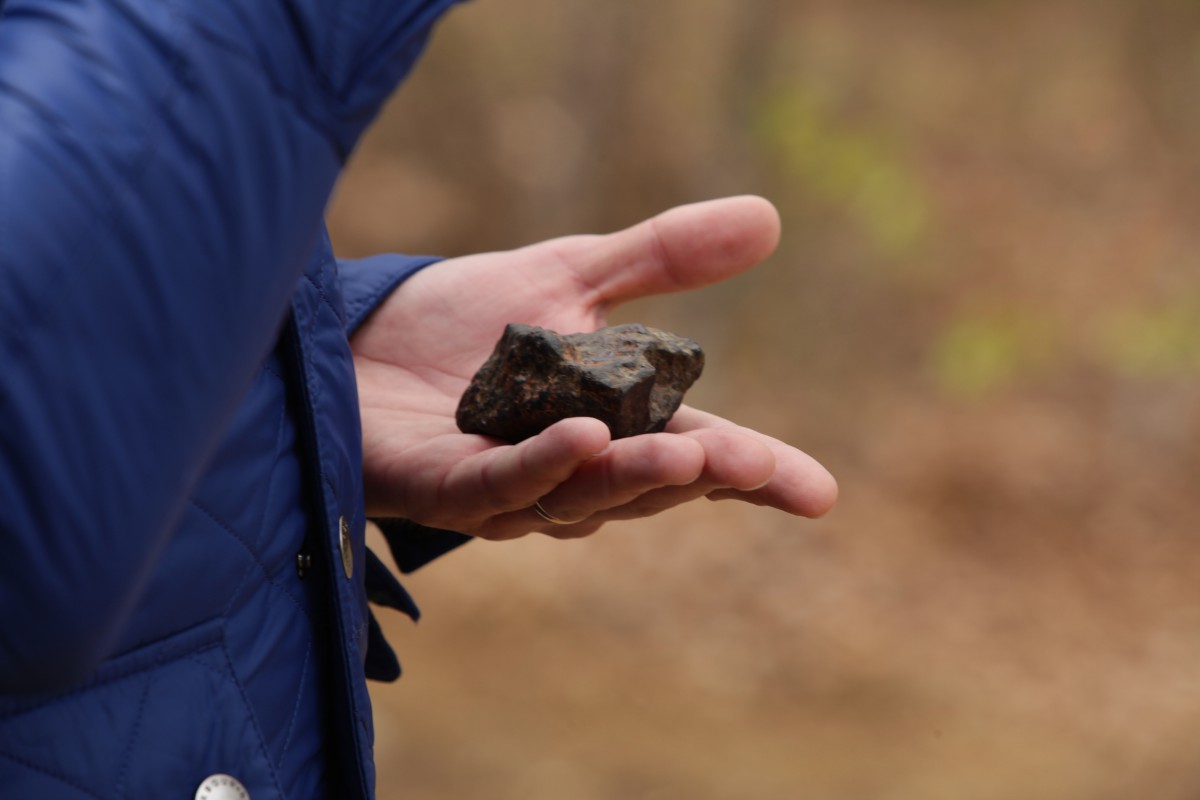 dinosaur meteorite