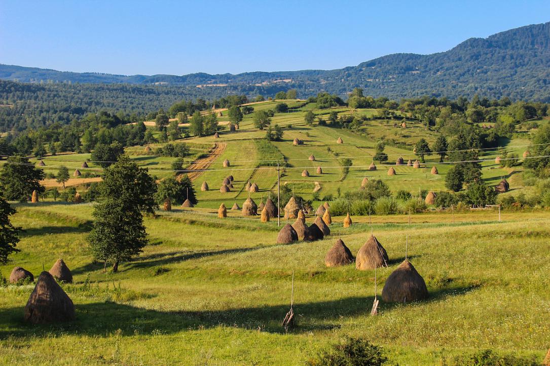 Projekt Maramures: German teens brought in Romania for reeducation ...